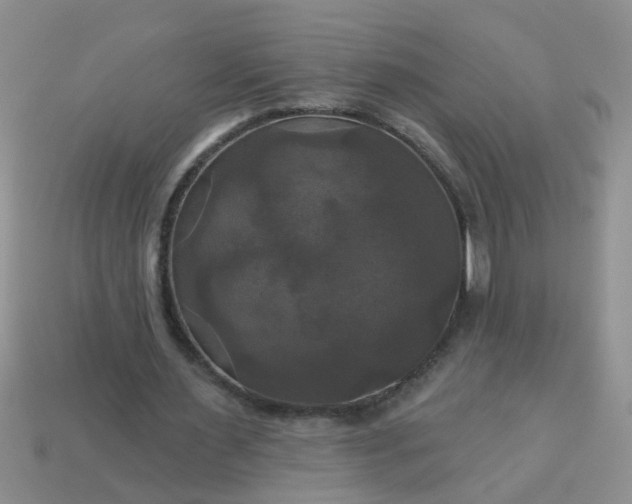 X0000113050483200909101942