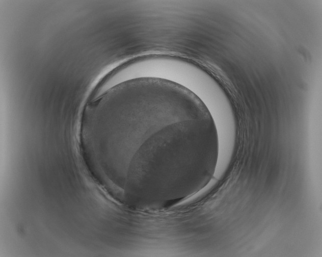 X0000113050484200909101942