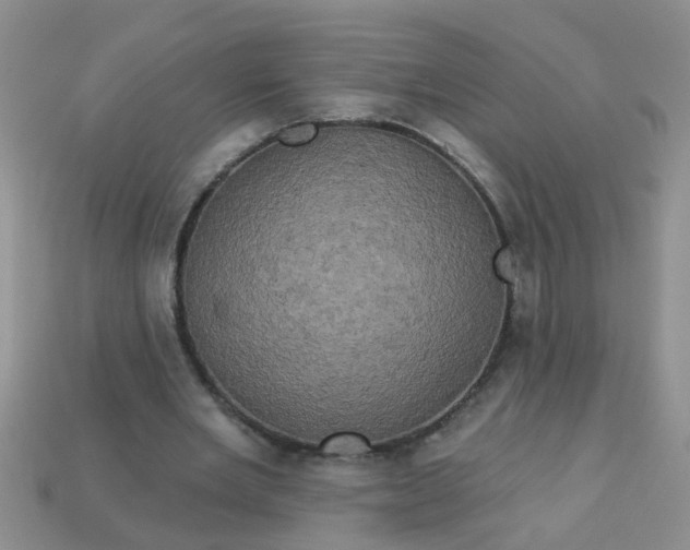 X0000113050485200909101942