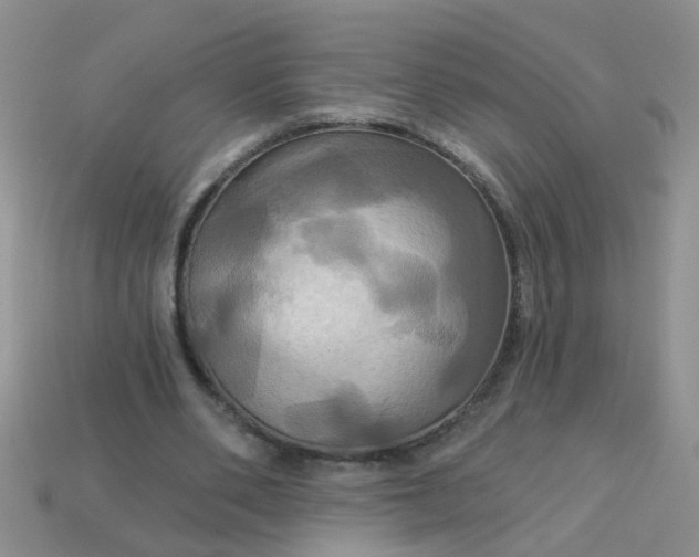 X0000113050486200909101942