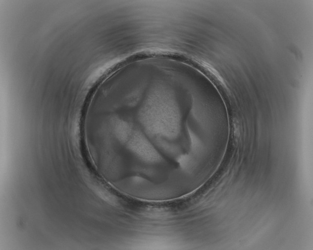 X0000113050487200909101942