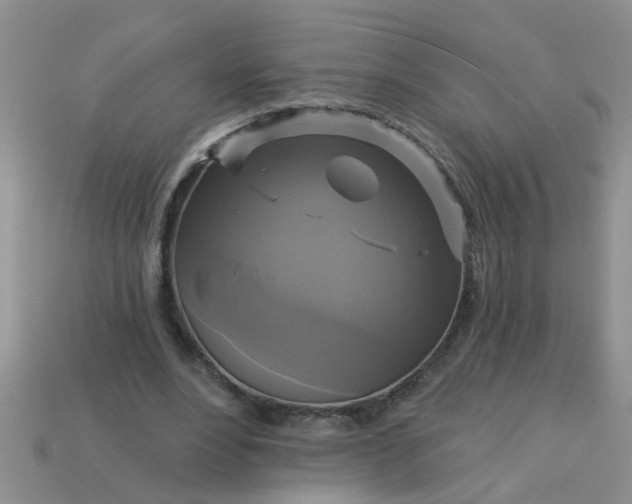 X0000113050488200909101942