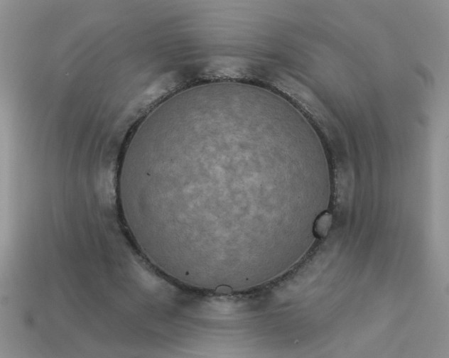 X0000113050489200909101942