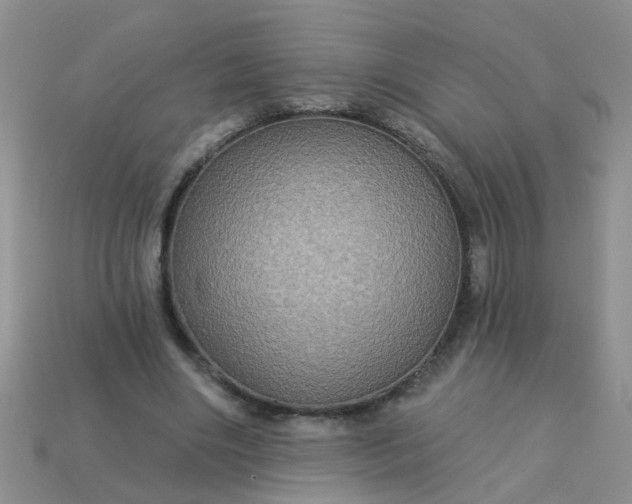 X0000113050490200909101942