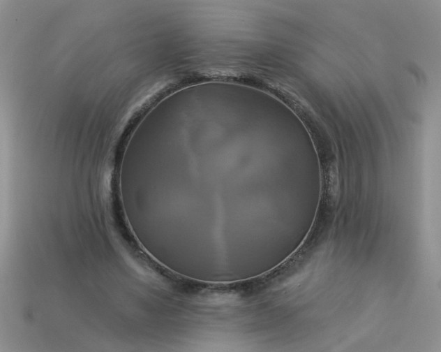 X0000113050491200909101942