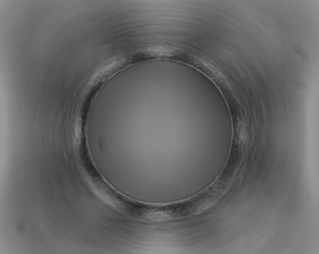 X0000113050494200909101942