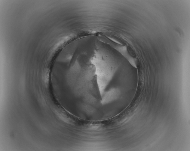 X0000113050495200909101942