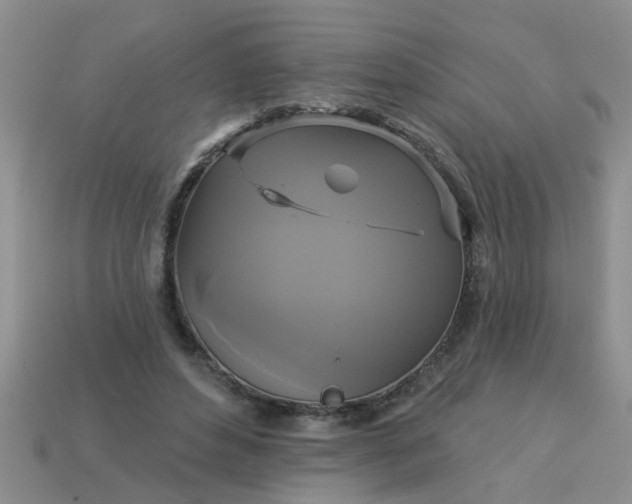 X0000113050496200909101942