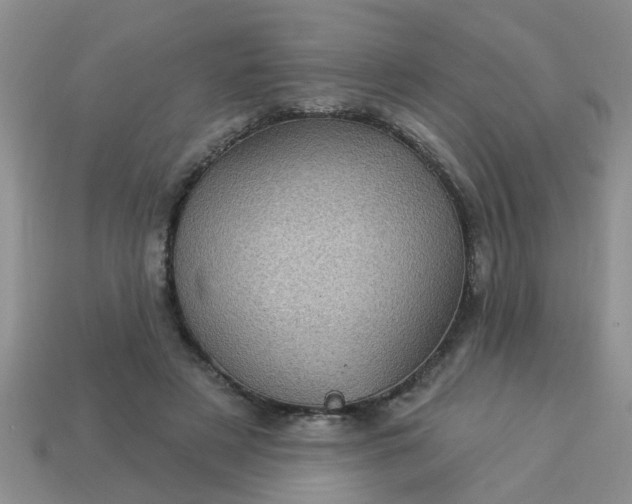 X0000113050497200909101942