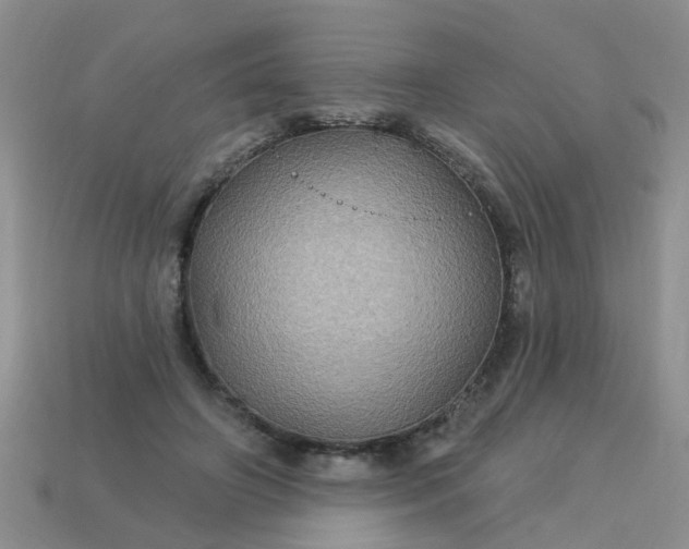 X0000113050498200909101942