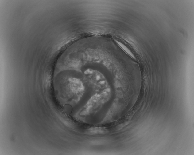 X0000113050499200909101942