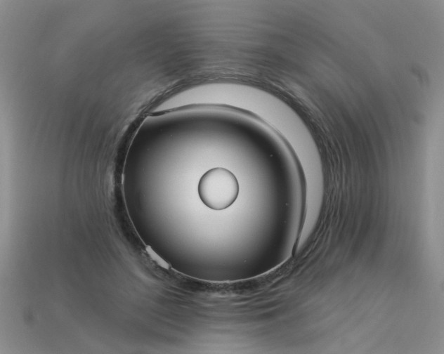 X0000113050500200909101942