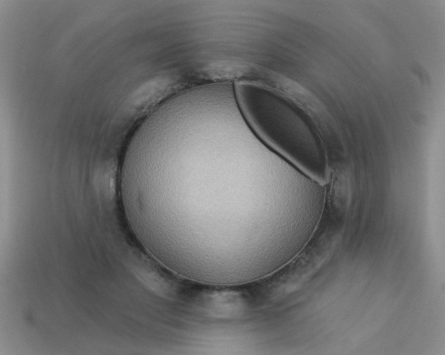 X0000113050501200909101942