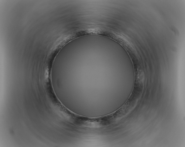 X0000113050502200909101942