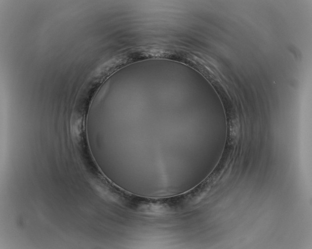 X0000113050503200909101942