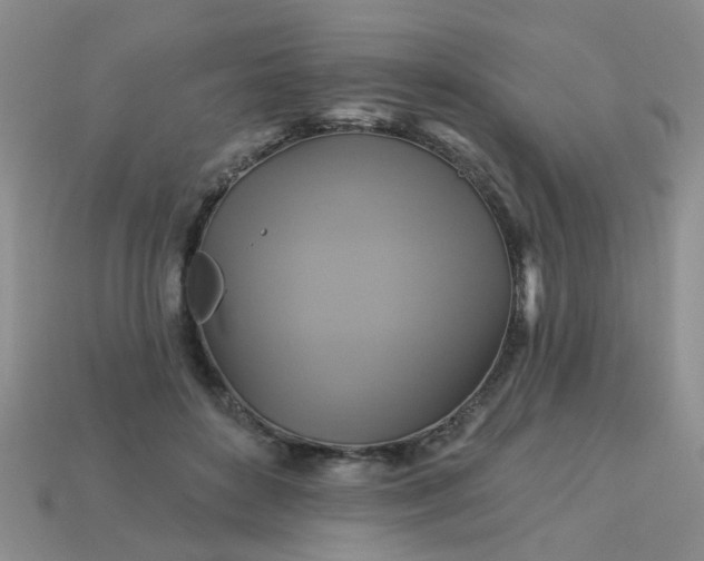 X0000113050504200909101942