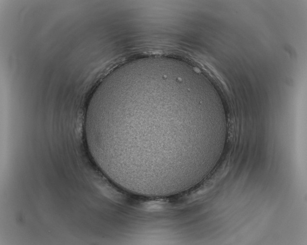 X0000113050505200909101942