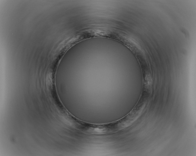 X0000113050506200909101942