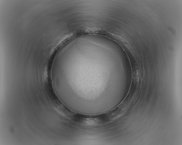 X0000113050508200909101942