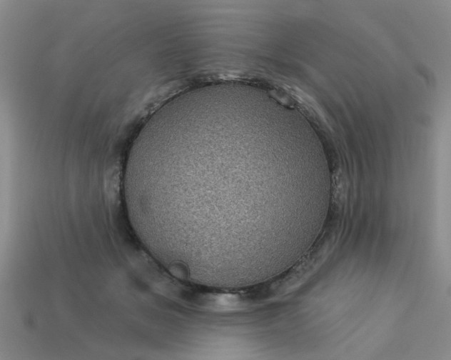 X0000113050509200909101942