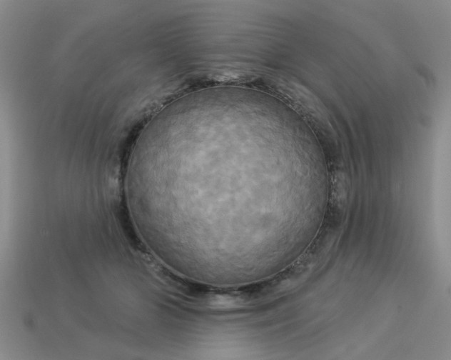 X0000113050510200909101942