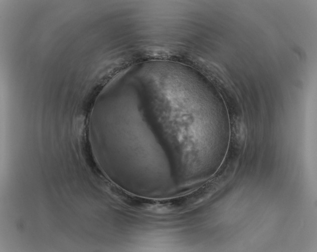 X0000113050511200909101942