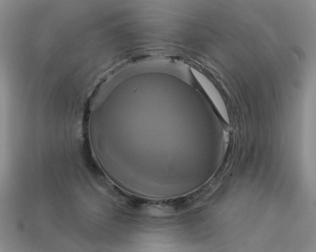 X0000113050512200909101942