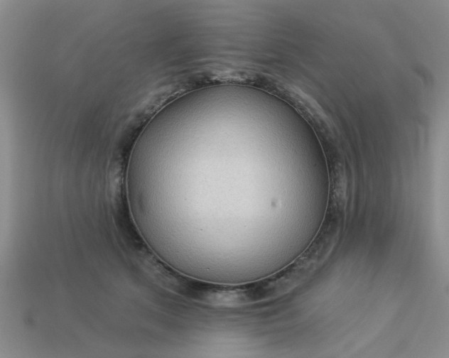 X0000113050513200909101942