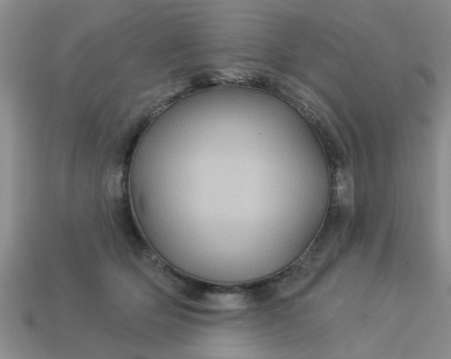 X0000113050514200909101942