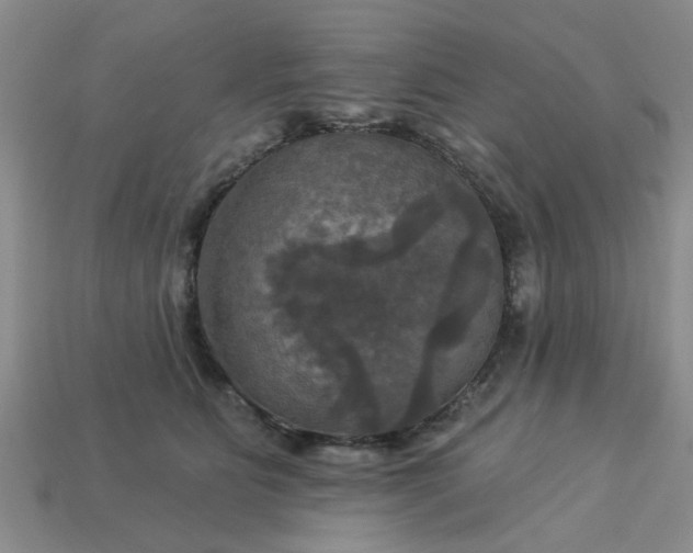 X0000113050515200909101942