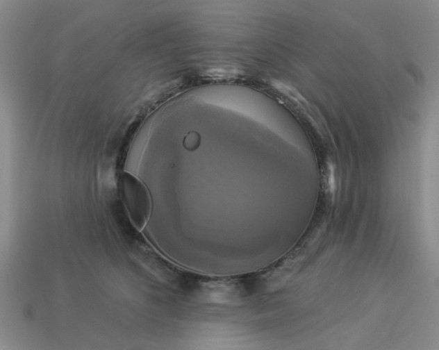 X0000113050516200909101942