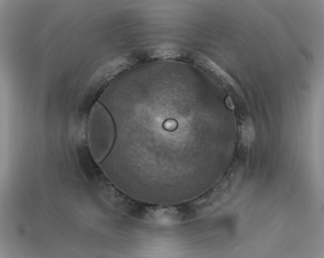 X0000113050517200909101942