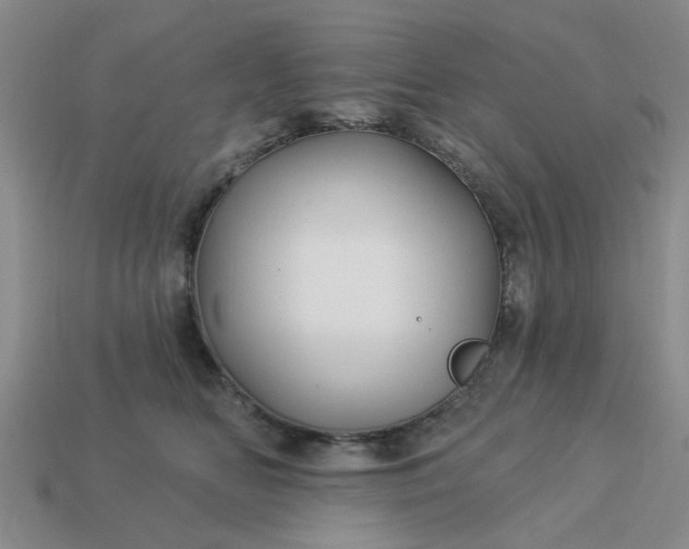 X0000113050518200909101942