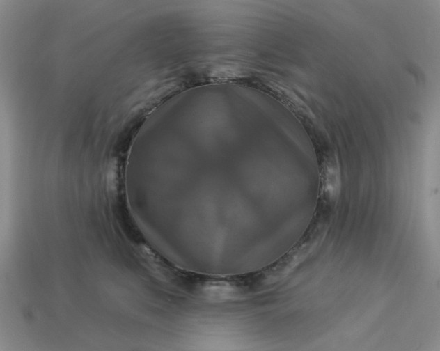 X0000113050519200909101942