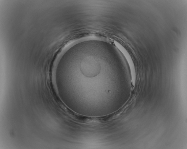 X0000113050520200909101942