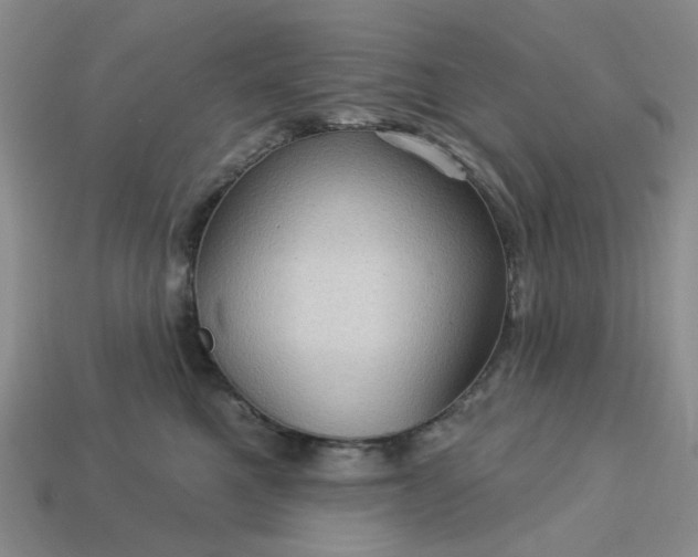 X0000113050521200909101942