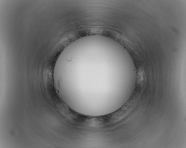 X0000113050522200909101942