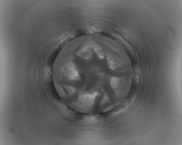 X0000113050523200909101942