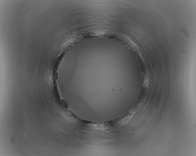 X0000113050524200909101942