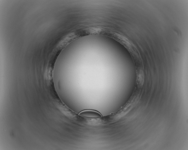 X0000113050525200909101942