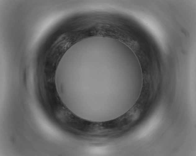 X0000113050526200909101942