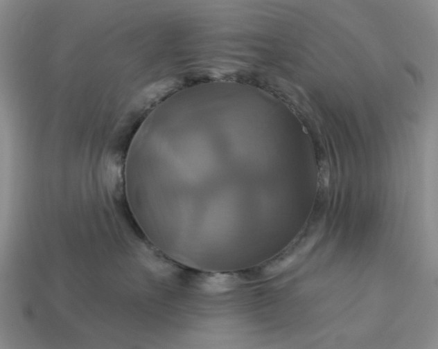 X0000113050527200909101942