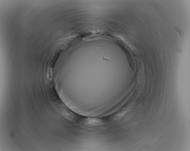 X0000113050528200909101942