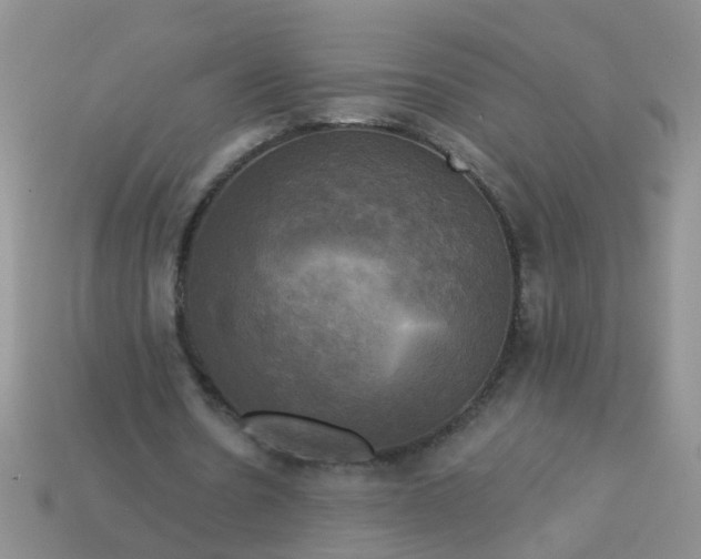 X0000113050530200909101941