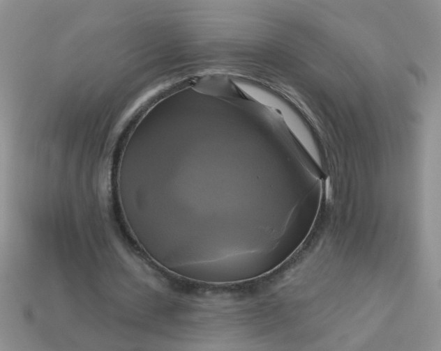 X0000113050531200909101941