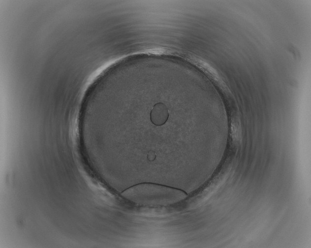 X0000113050532200909101941