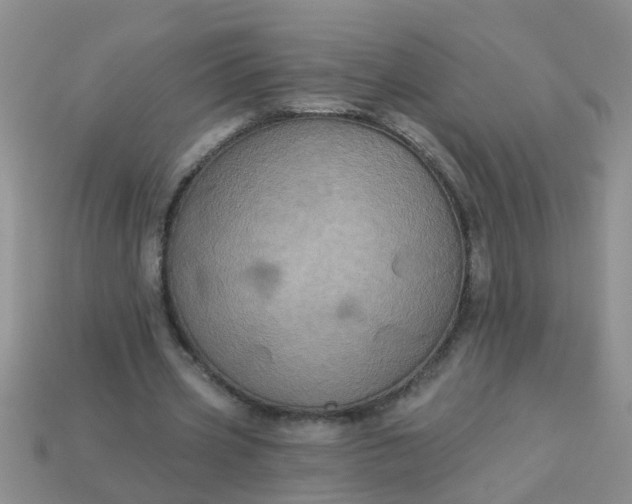 X0000113050533200909101941