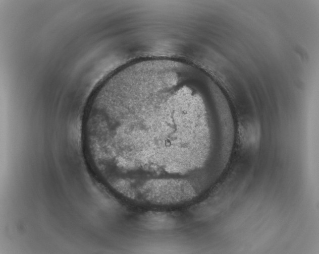 X0000113050534200909101941