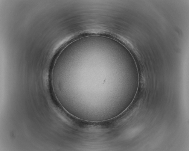 X0000113050535200909101941