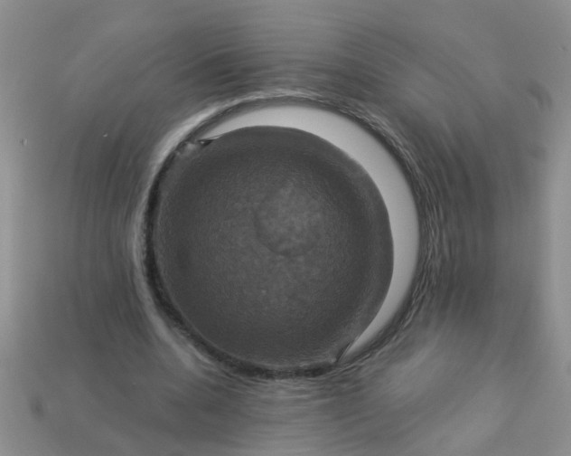 X0000113050536200909101941